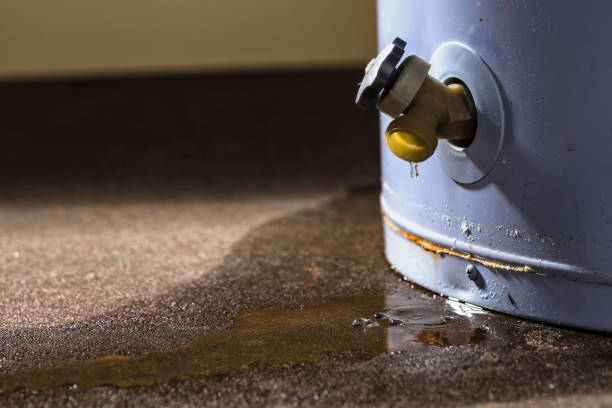 Best Flood restoration services  in Columbus, TX