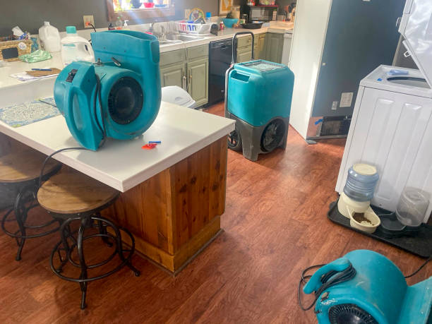 Best 24-hour water damage restoration  in Columbus, TX
