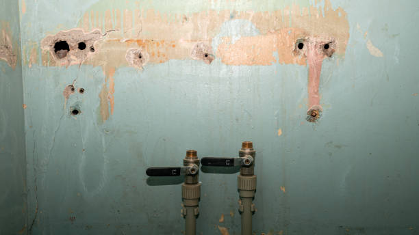 Best Water damage contractors near me  in Columbus, TX